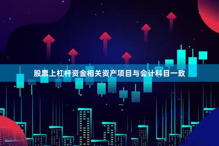 股票上杠杆资金相关资产项目与会计科目一致