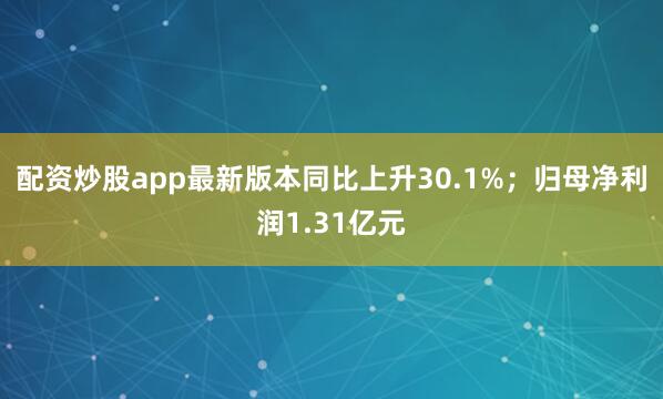 配资炒股app最新版本同比上升30.1%；归母净利润1.31亿元