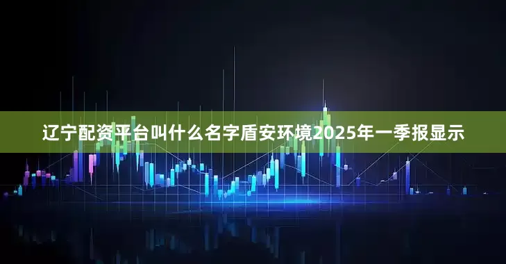 辽宁配资平台叫什么名字盾安环境2025年一季报显示