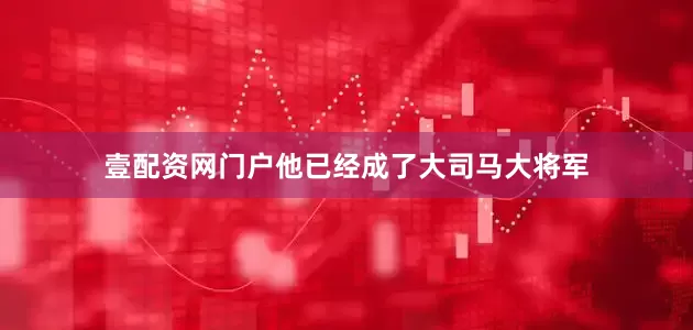 壹配资网门户他已经成了大司马大将军