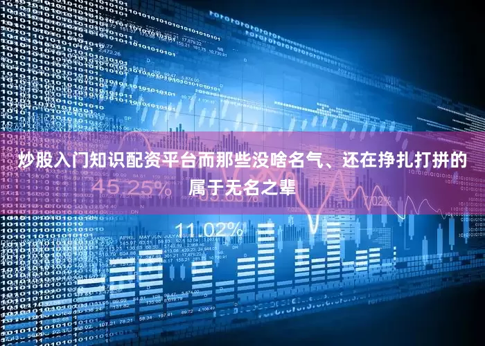 炒股入门知识配资平台而那些没啥名气、还在挣扎打拼的属于无名之辈